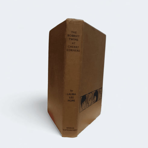 The Bobbsey Twins at Cherry Corners – Laura Lee Hope - Books Worth Keeping